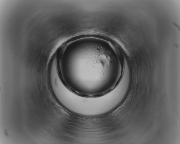 X0000096451270200801311442