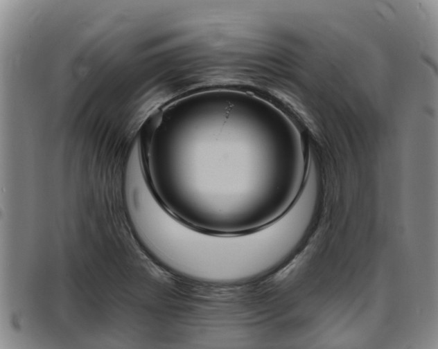 X0000096451273200801311442