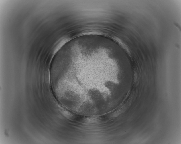 X0000096451274200801311442