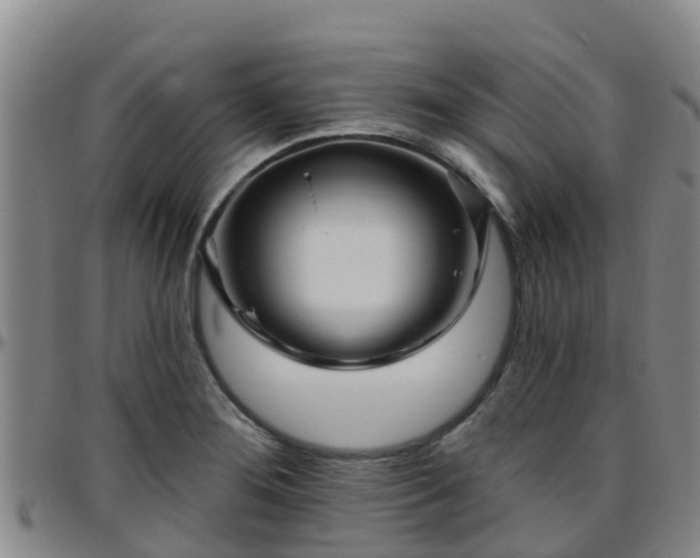 X0000096451276200801311442