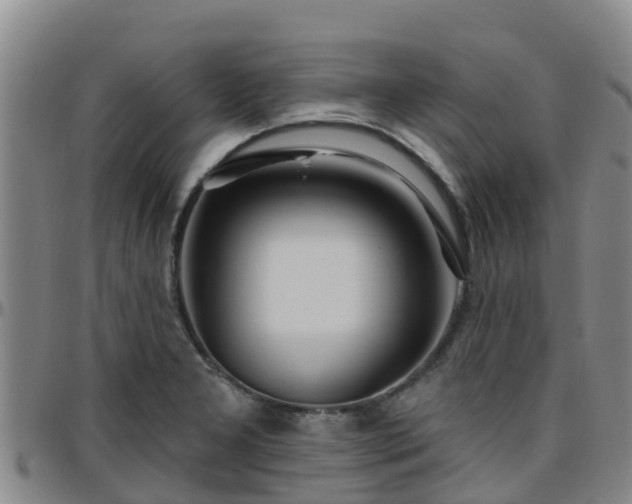 X0000096451277200801311442