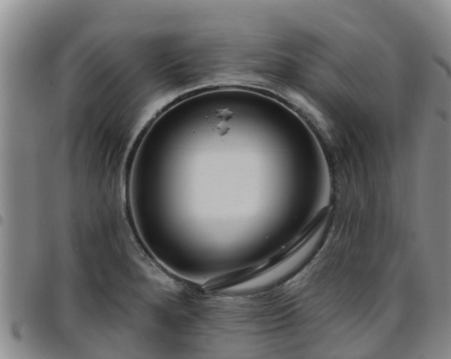 X0000096451280200801311442