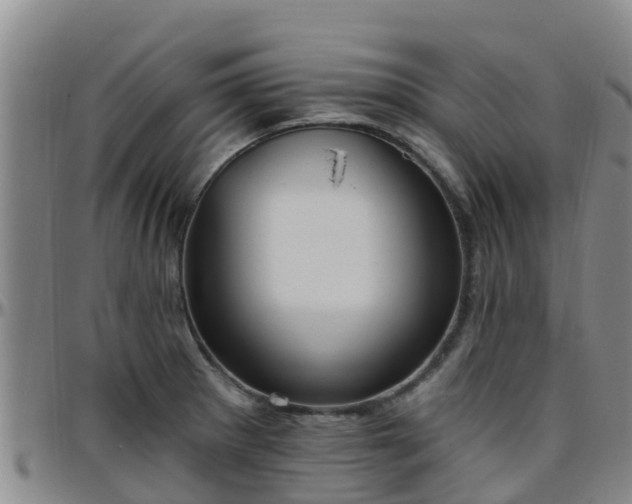 X0000096451281200801311442
