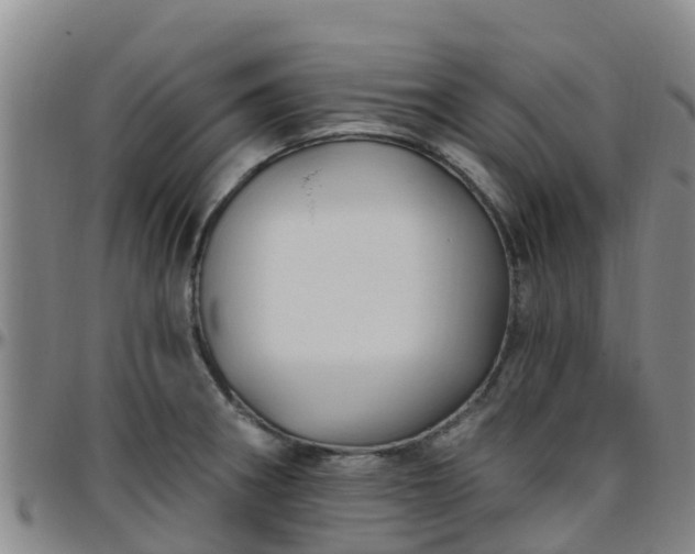 X0000096451282200801311442