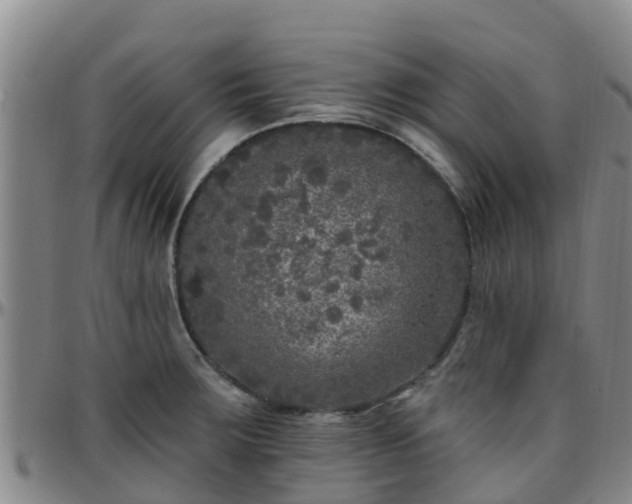 X0000096451283200801311442