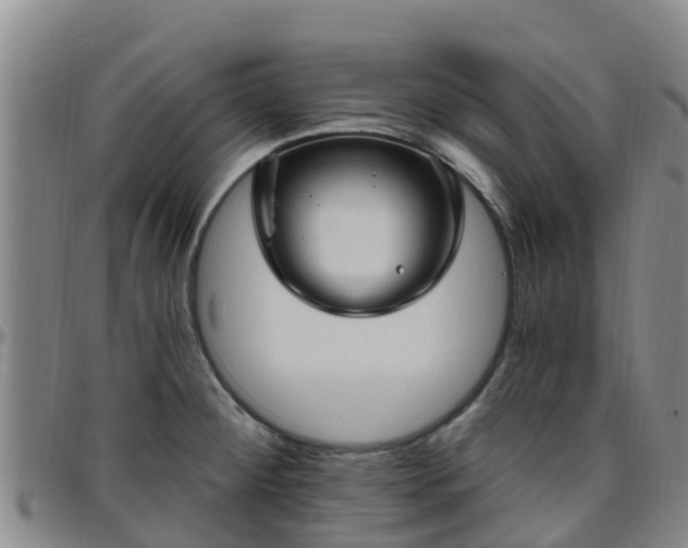 X0000096451284200801311442