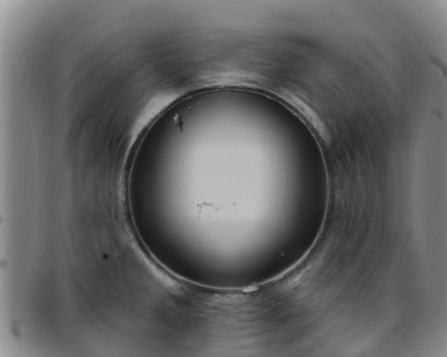 X0000096451285200801311442