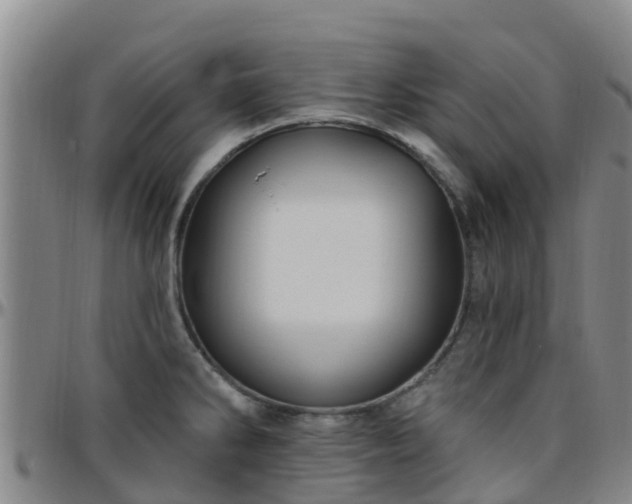 X0000096451286200801311442