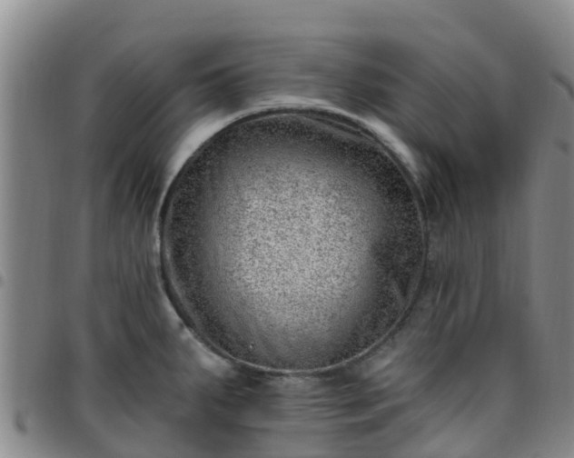 X0000096451287200801311442