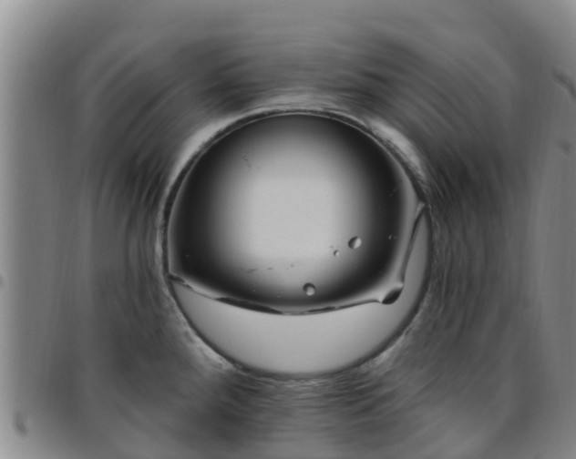 X0000096451288200801311442