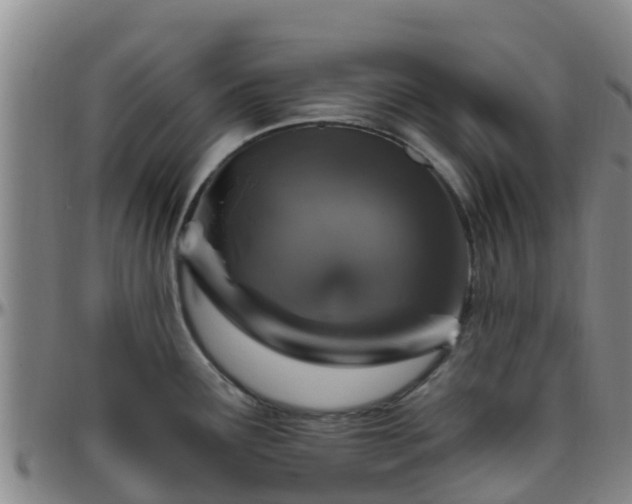 X0000096451291200801311442