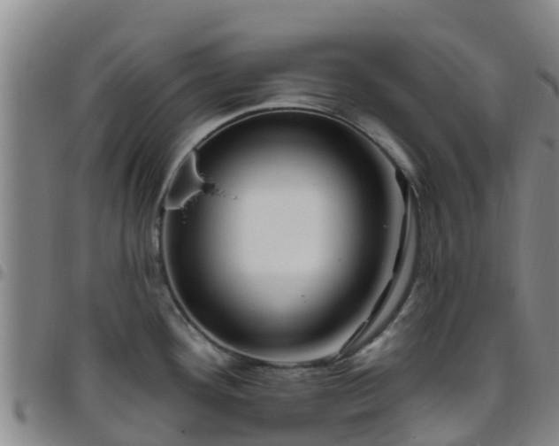 X0000096451292200801311442