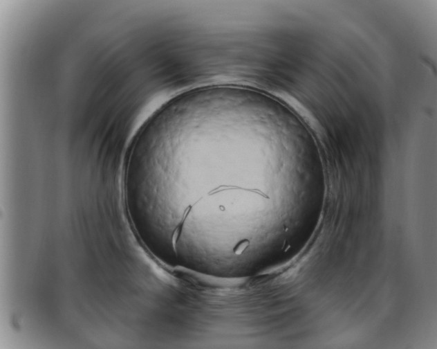X0000096451294200801311442