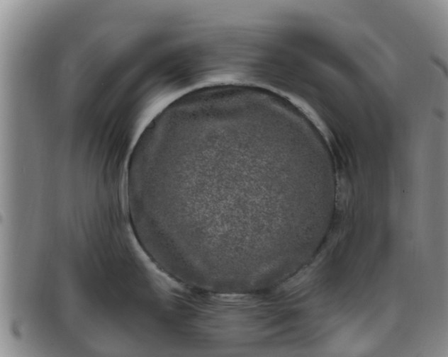 X0000096451295200801311442