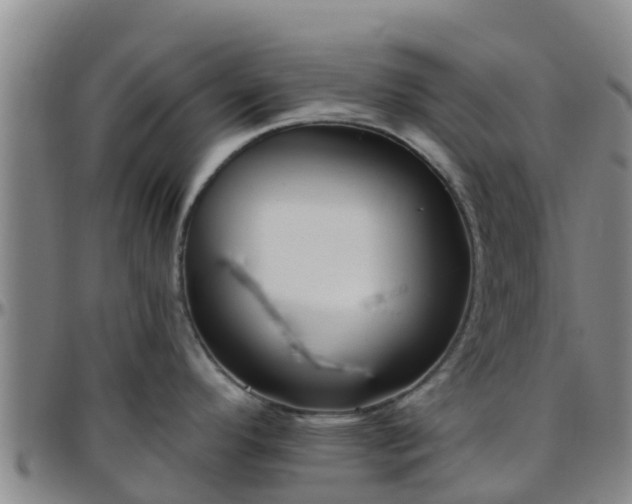 X0000096451296200801311442