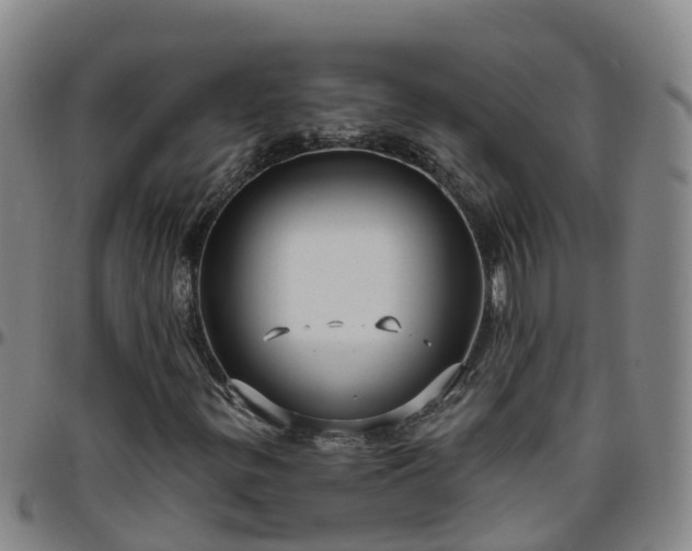 X0000096451299200801311442