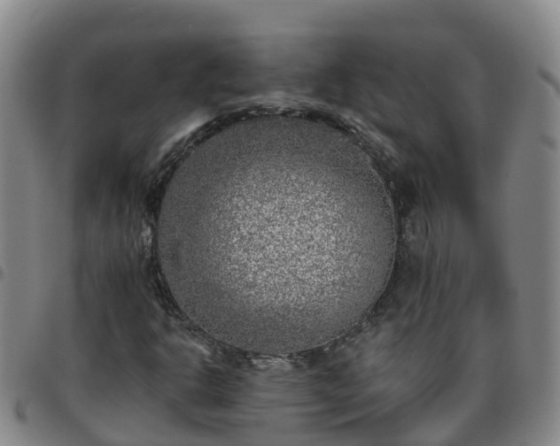 X0000096451302200801311442