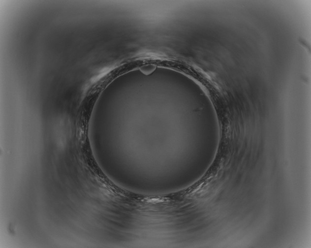X0000096451303200801311442