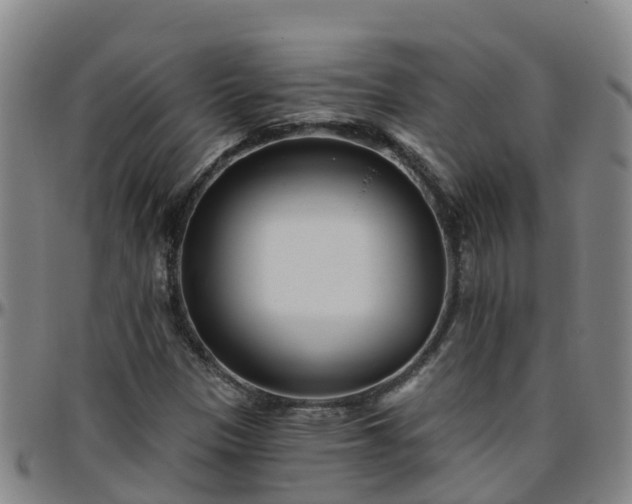 X0000096451305200801311442