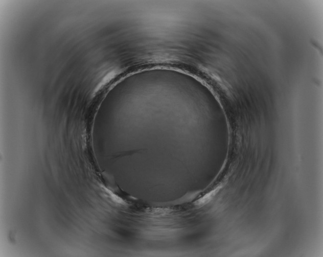 X0000096451306200801311442