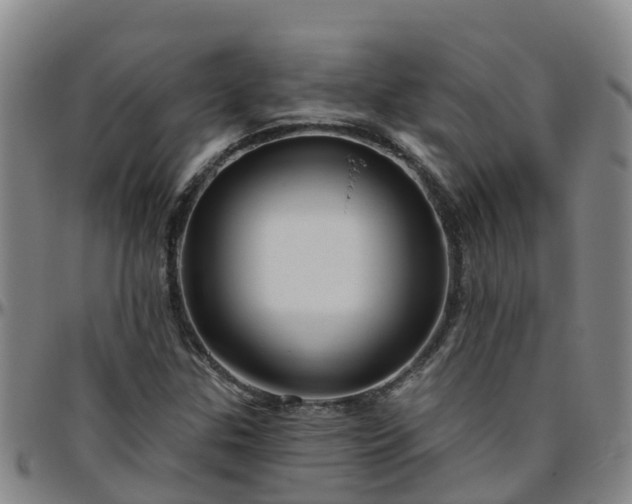 X0000096451307200801311442