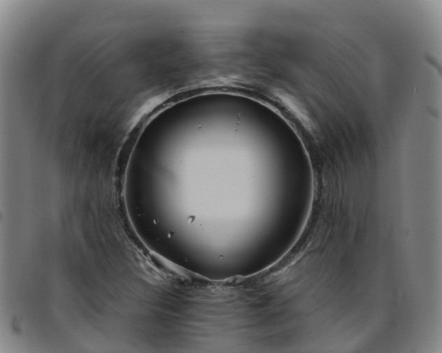 X0000096451308200801311442