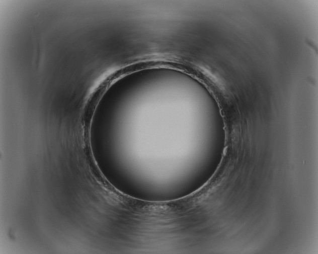 X0000096451310200801311442