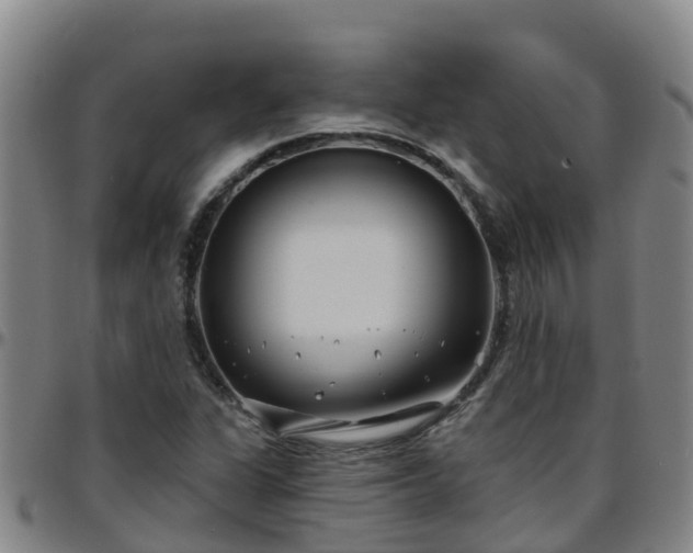 X0000096451311200801311442
