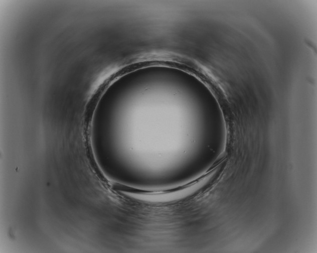 X0000096451312200801311442