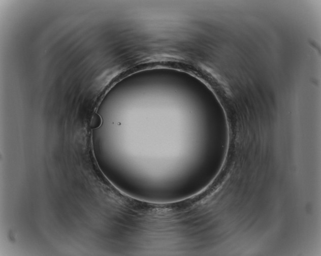 X0000096451313200801311442