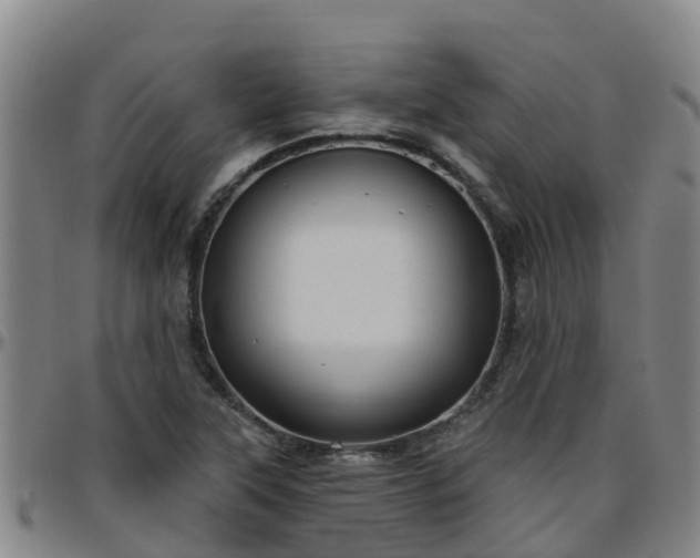 X0000096451315200801311442