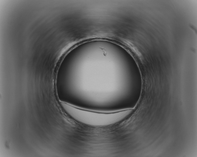X0000096451316200801311442