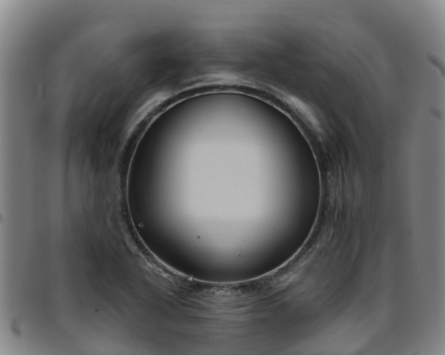 X0000096451318200801311442