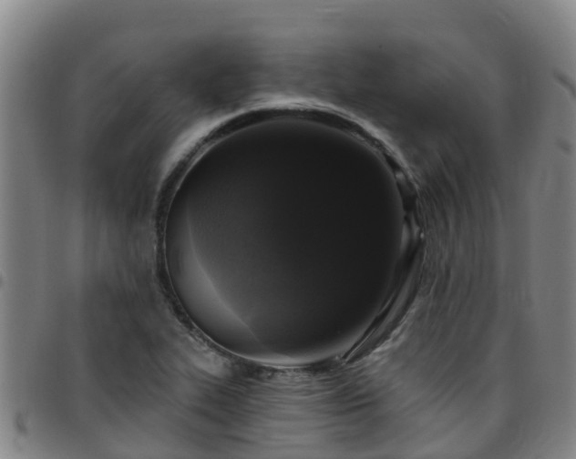 X0000096451319200801311442