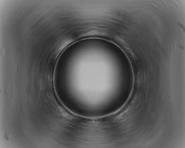 X0000096451321200801311442