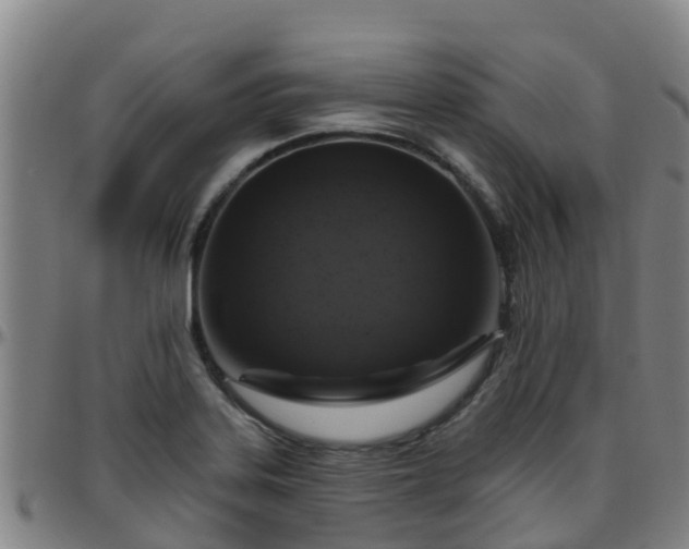 X0000096451323200801311442