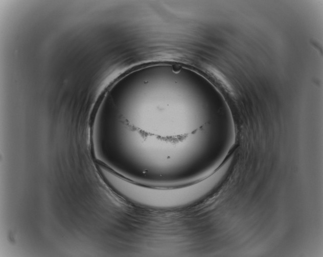 X0000096451324200801311442