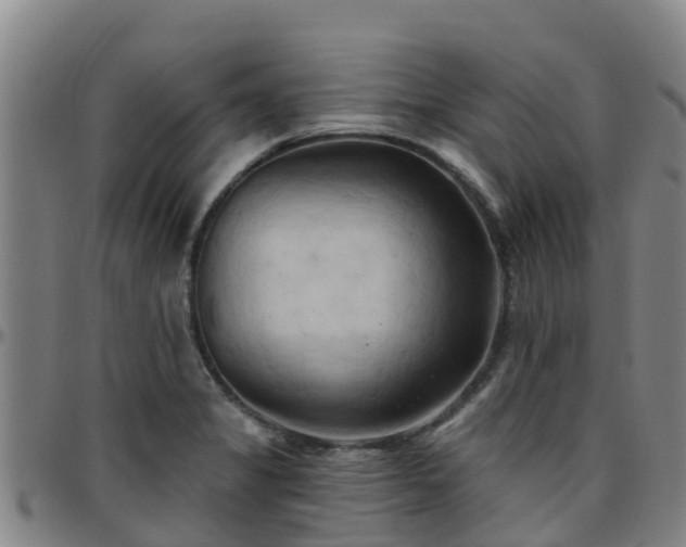 X0000096451325200801311442