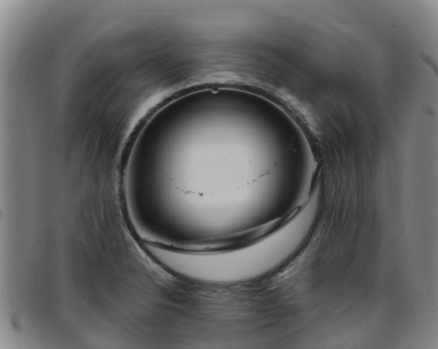 X0000096451326200801311442