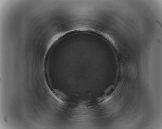 X0000096451327200801311442
