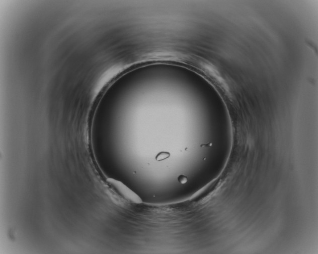 X0000096451328200801311442