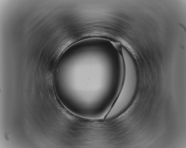 X0000096451329200801311442