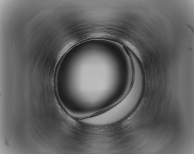 X0000096451330200801311442