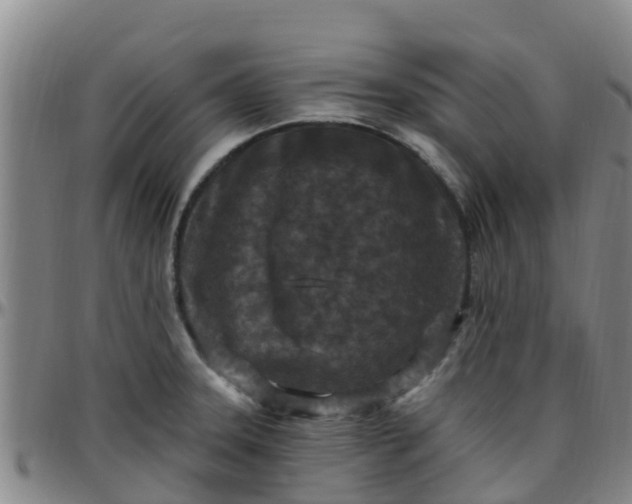 X0000096451331200801311442