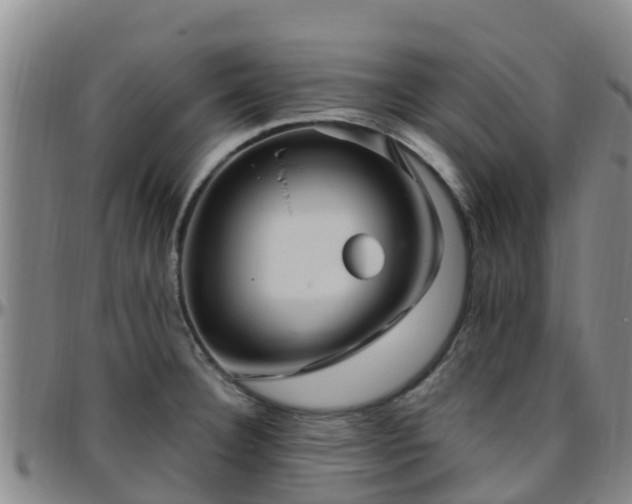 X0000096451332200801311442