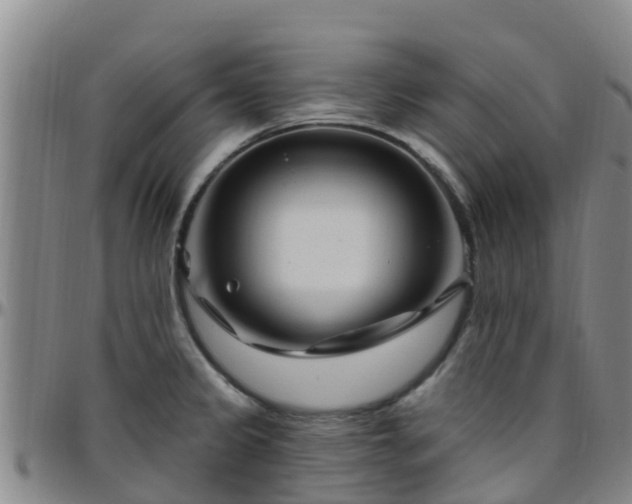 X0000096451333200801311442