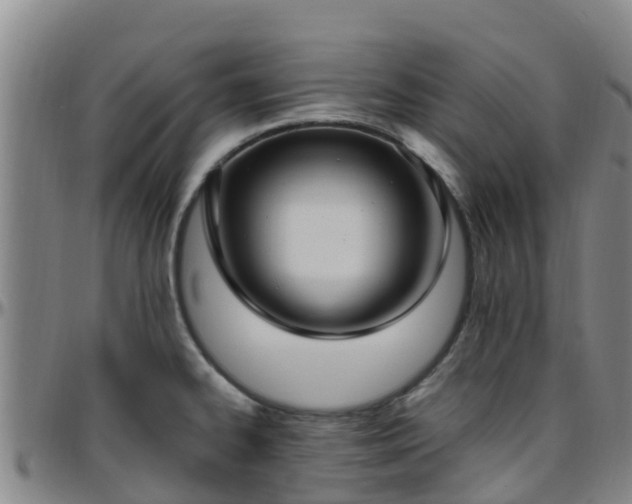 X0000096451334200801311442