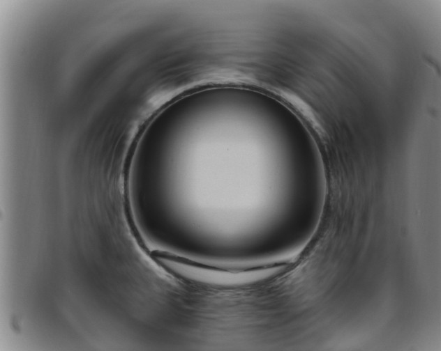 X0000096451335200801311442
