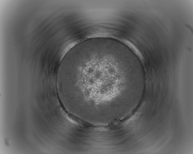 X0000096451337200801311442