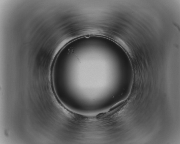 X0000096451339200801311442